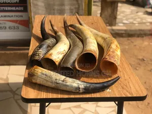 Original Cow And Sheep Horn