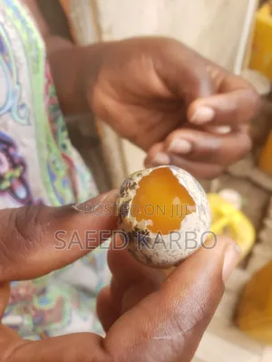 Jumbo Quail Eggs