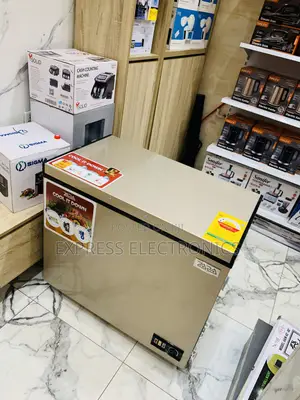 Zara-300flg Zara Freezer 238ltr Net Gold Lock Key