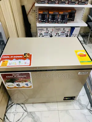 Highly Recommend Zara-300flg Zara Freezer 238ltr Net Gold Lock Key