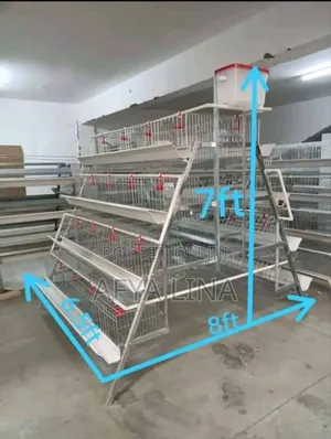 Chicken Cages
