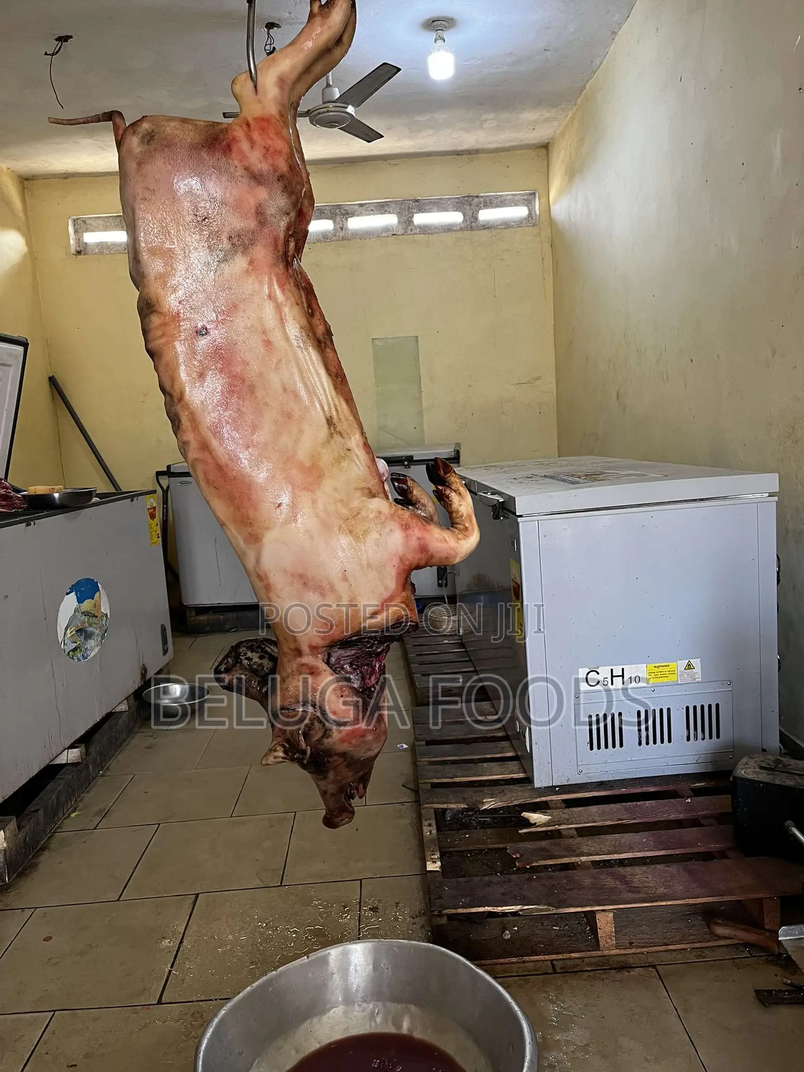Promo Deal - Fresh Lean Pigs, Pork Beef Available