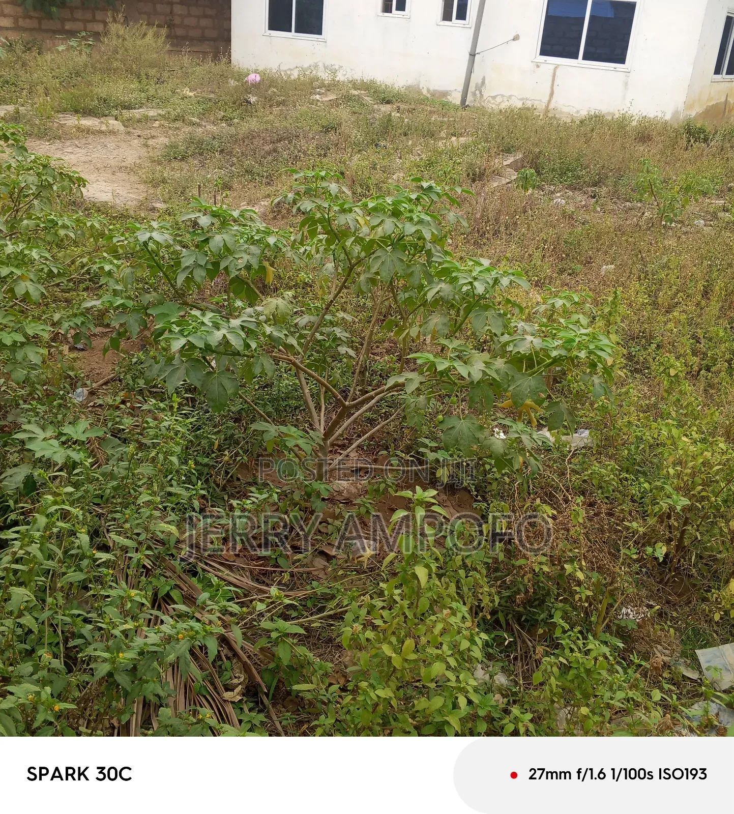 2bdrm Mansion in Taifa-Burkina for sale