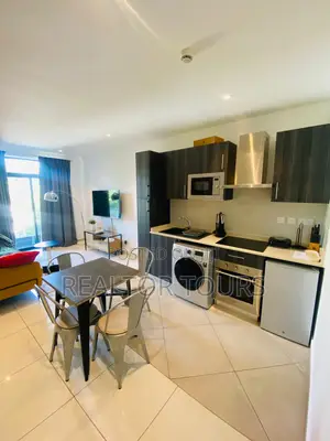 Furnished Studio Apartment in Cantonments for rent