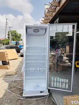 Durable and Affordable Zara-600dfg Single Door Display Fridge 