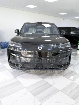 New Denza N9 2.0 Hybrid AWD 2025 Black
