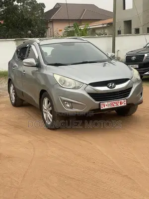 Hyundai Tucson 2010 Gray