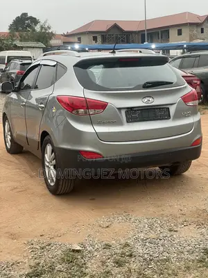 Hyundai Tucson 2010 Gray