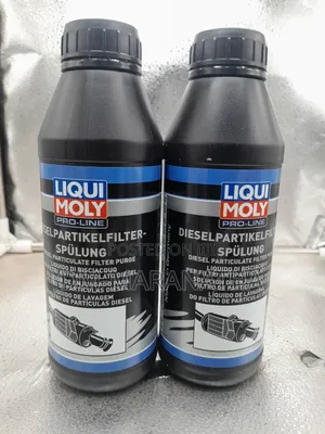 Diesel Particulate Filter Purge 500ml
