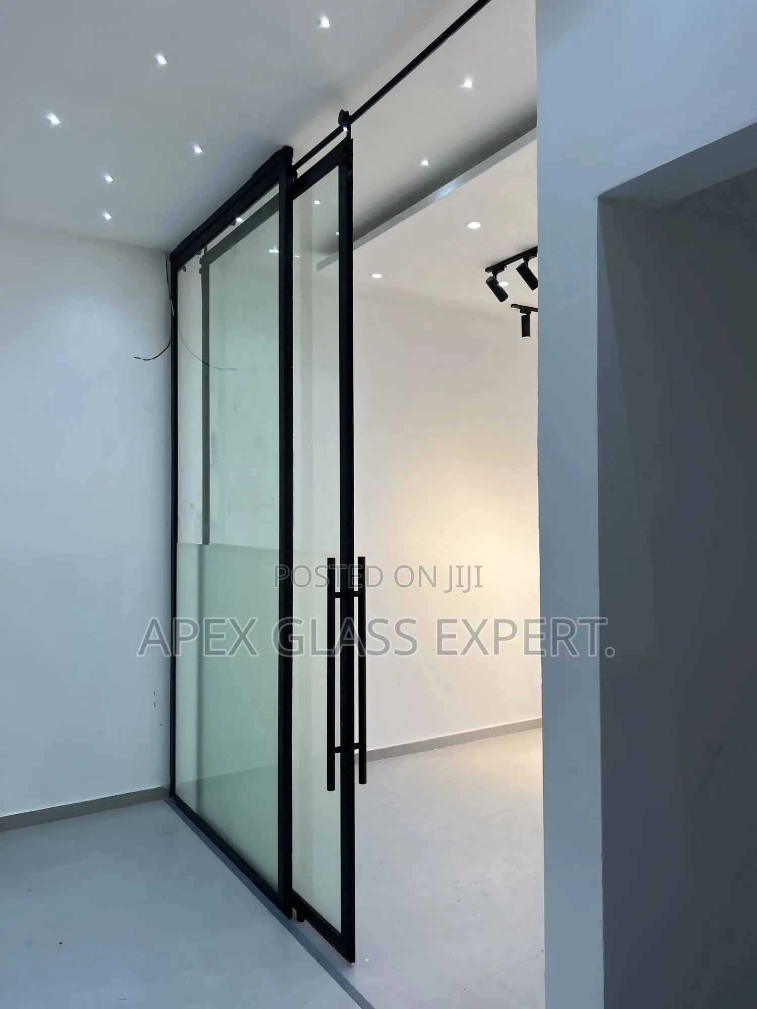 Trackless Barn Door With 10mm Designed Clear Glass