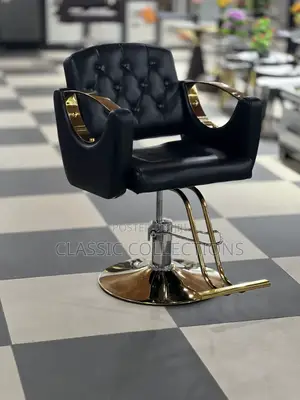 Salon Luxury Chair