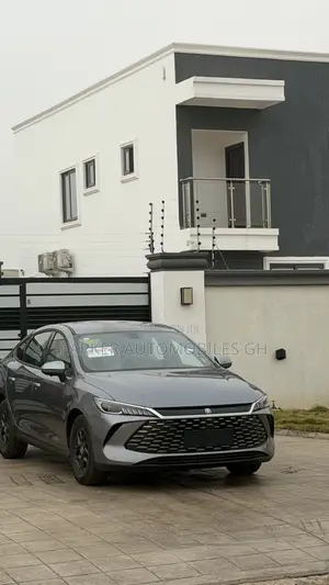 New BYD Qin Plus DM-i 2025 Gray