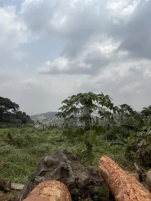 17 Acres of Land for Sale in Aburi
