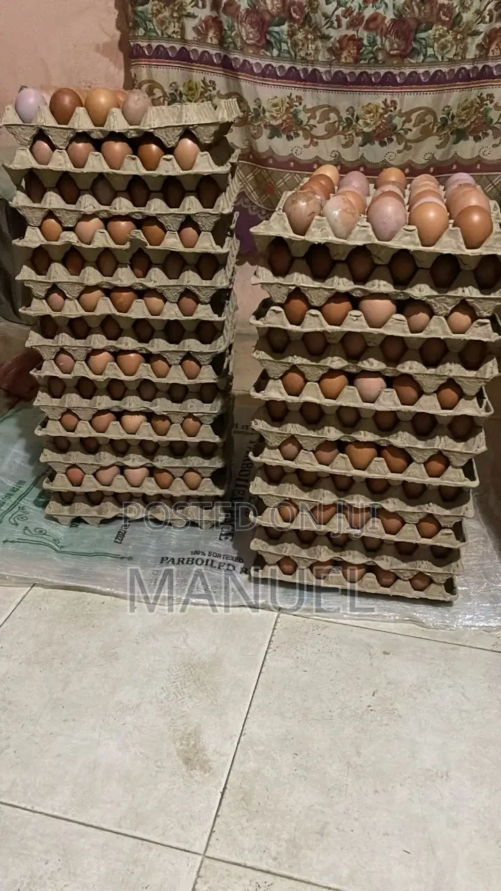 Poultry Egg Sales
