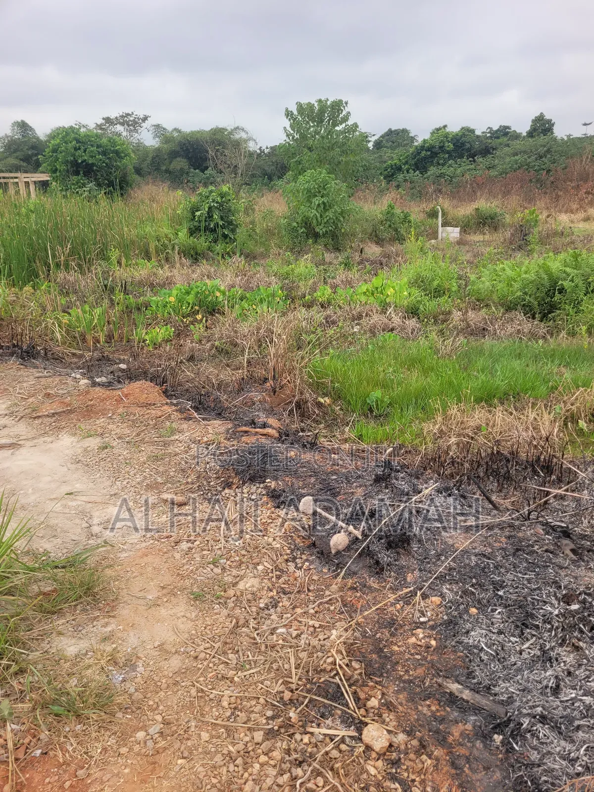 Two Plots of Land for Sale at Santa'si Ampetia