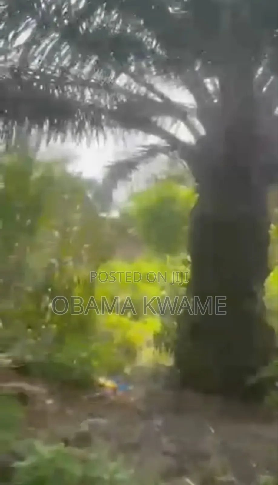 Title 6 Plots of Roadside Land for Sale at Adenta Housing Down