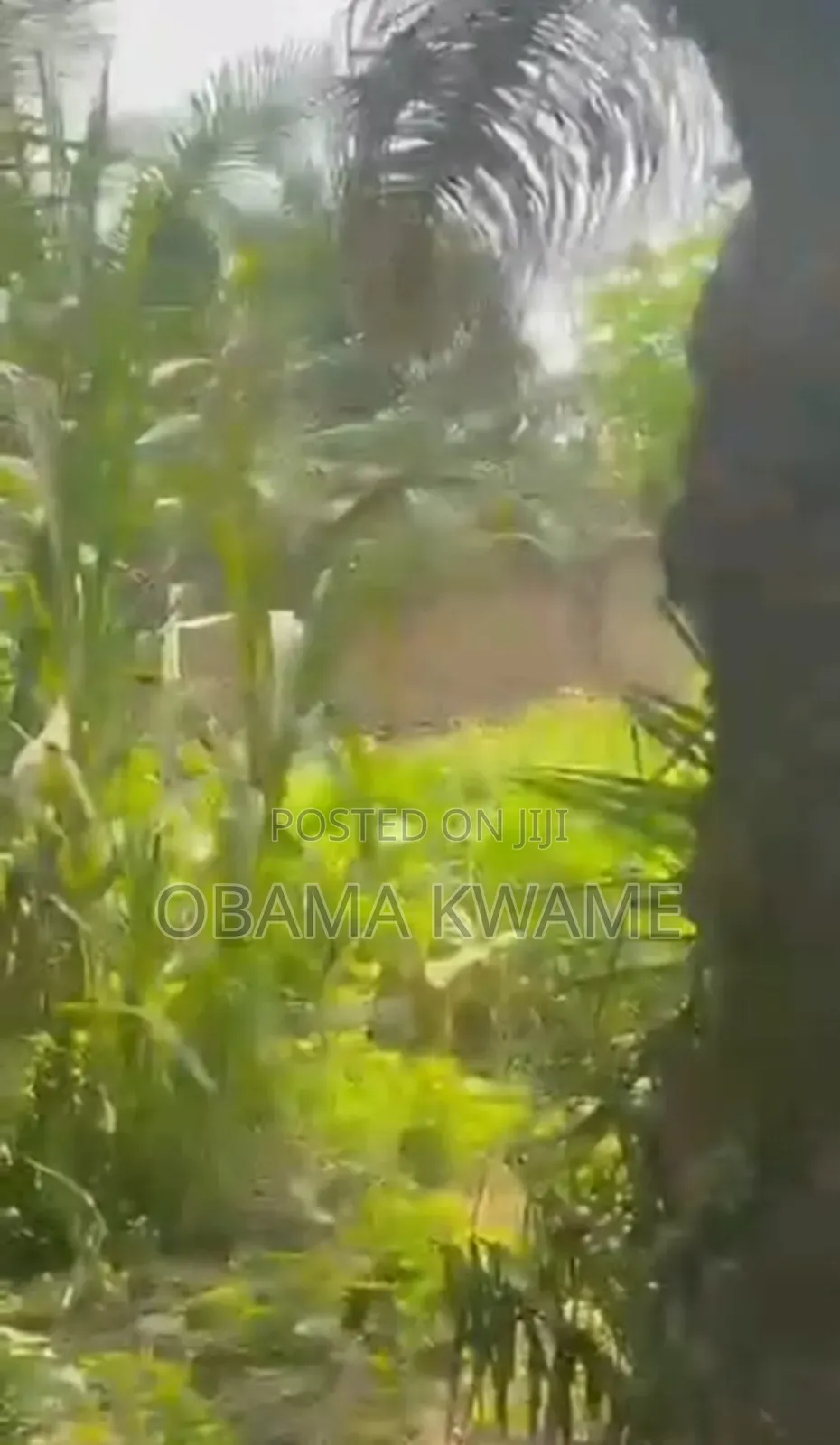 Title 6 Plots of Roadside Land for Sale at Adenta Housing Down