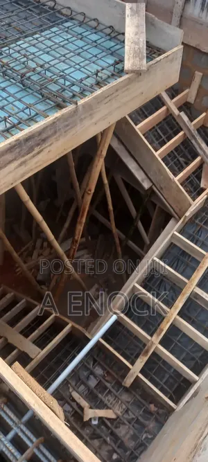 Professional Carpenter