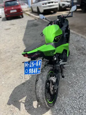 Kawasaki Ninja 400 2013 Green