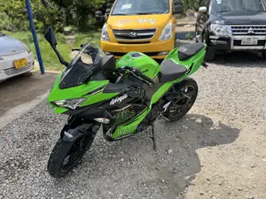Kawasaki Ninja 400 2013 Green