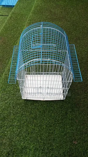 Small Metallic Bird Cage