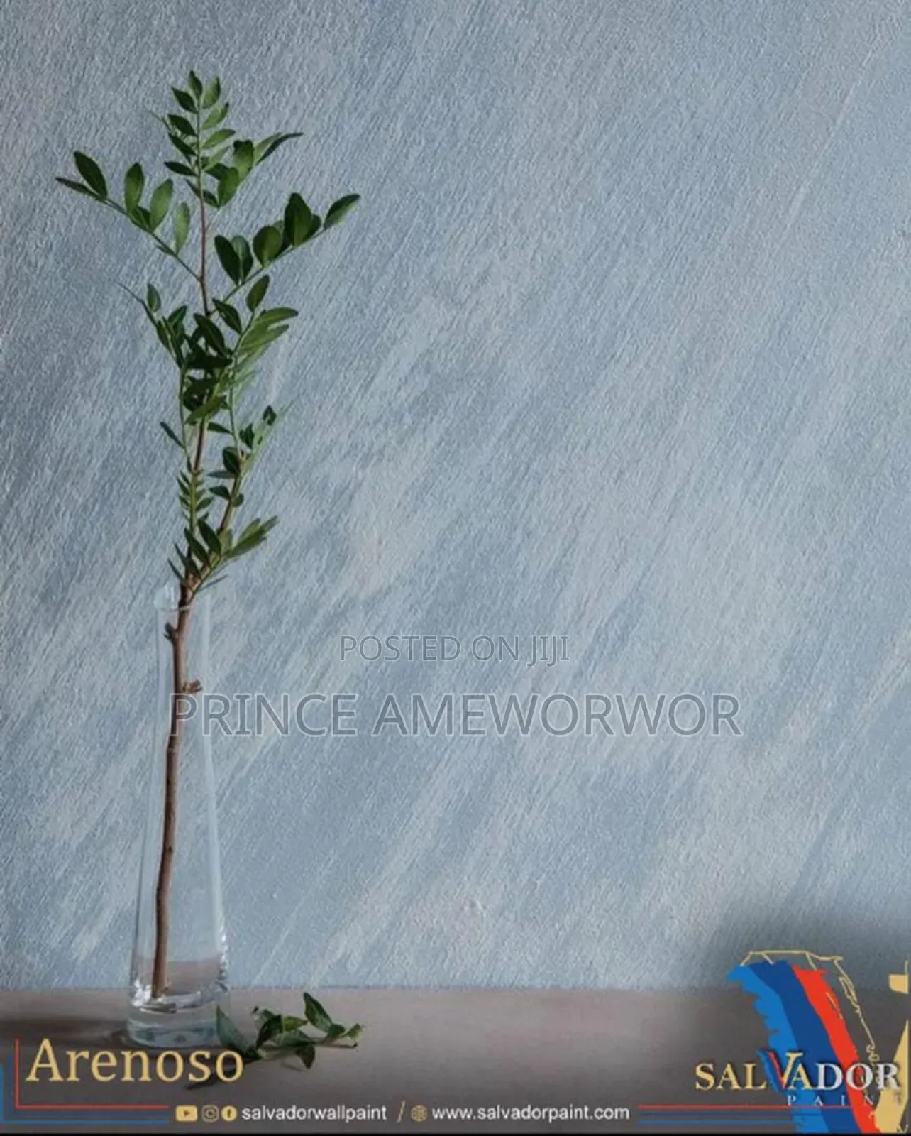Salvador Wall Texture Paint | High-quality Interior Finish