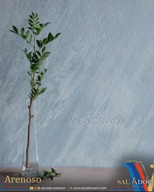 Salvador Wall Texture Paint | High-quality Interior Finish