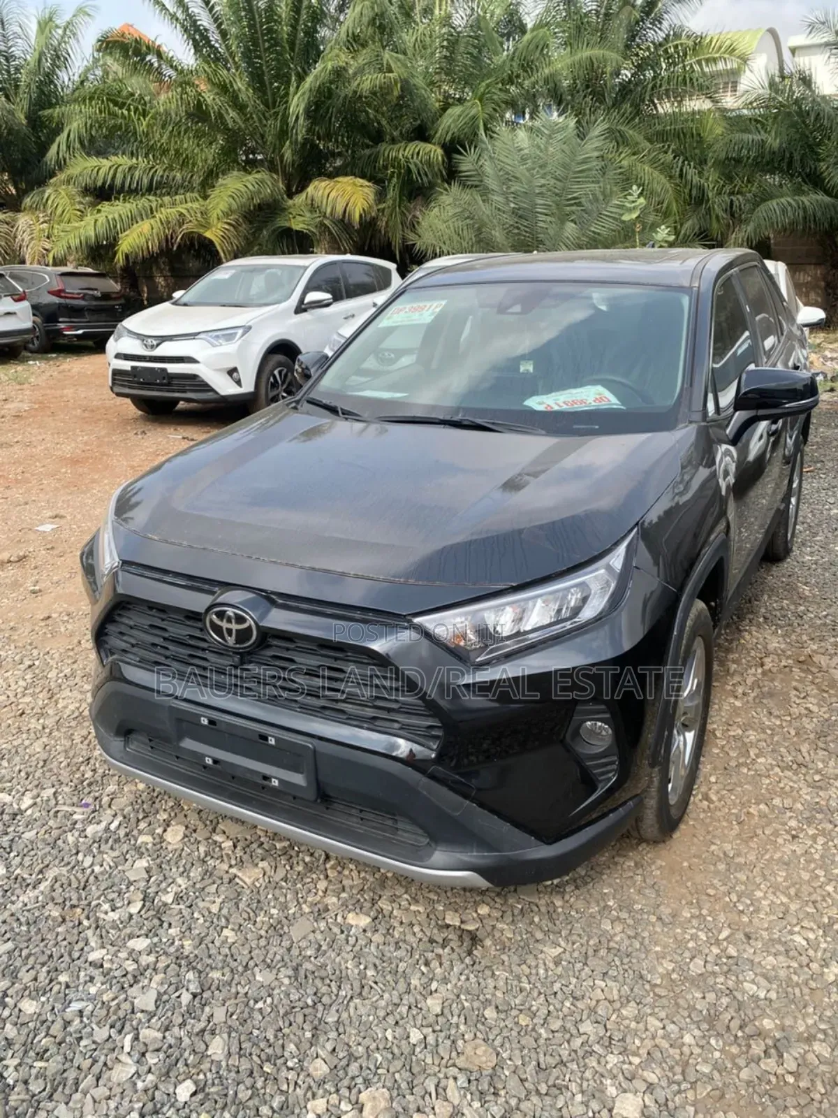 Toyota RAV4 2024 Black