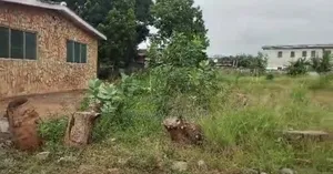 Walled and Gated 6 Plots of Land for Sale at Tesano