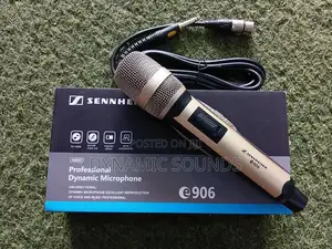 Sennhnieser Cod Microphone