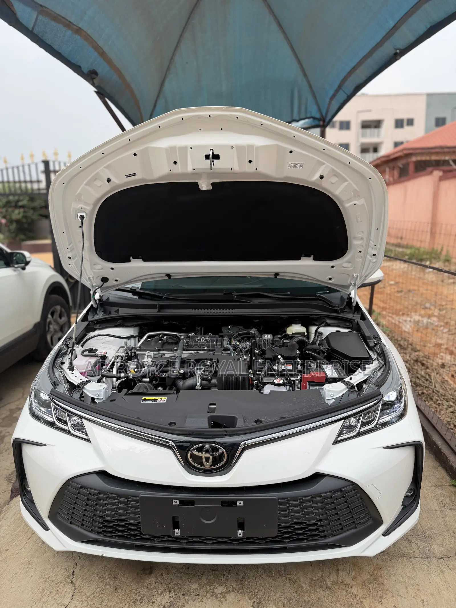 New Toyota Corolla 2026 White