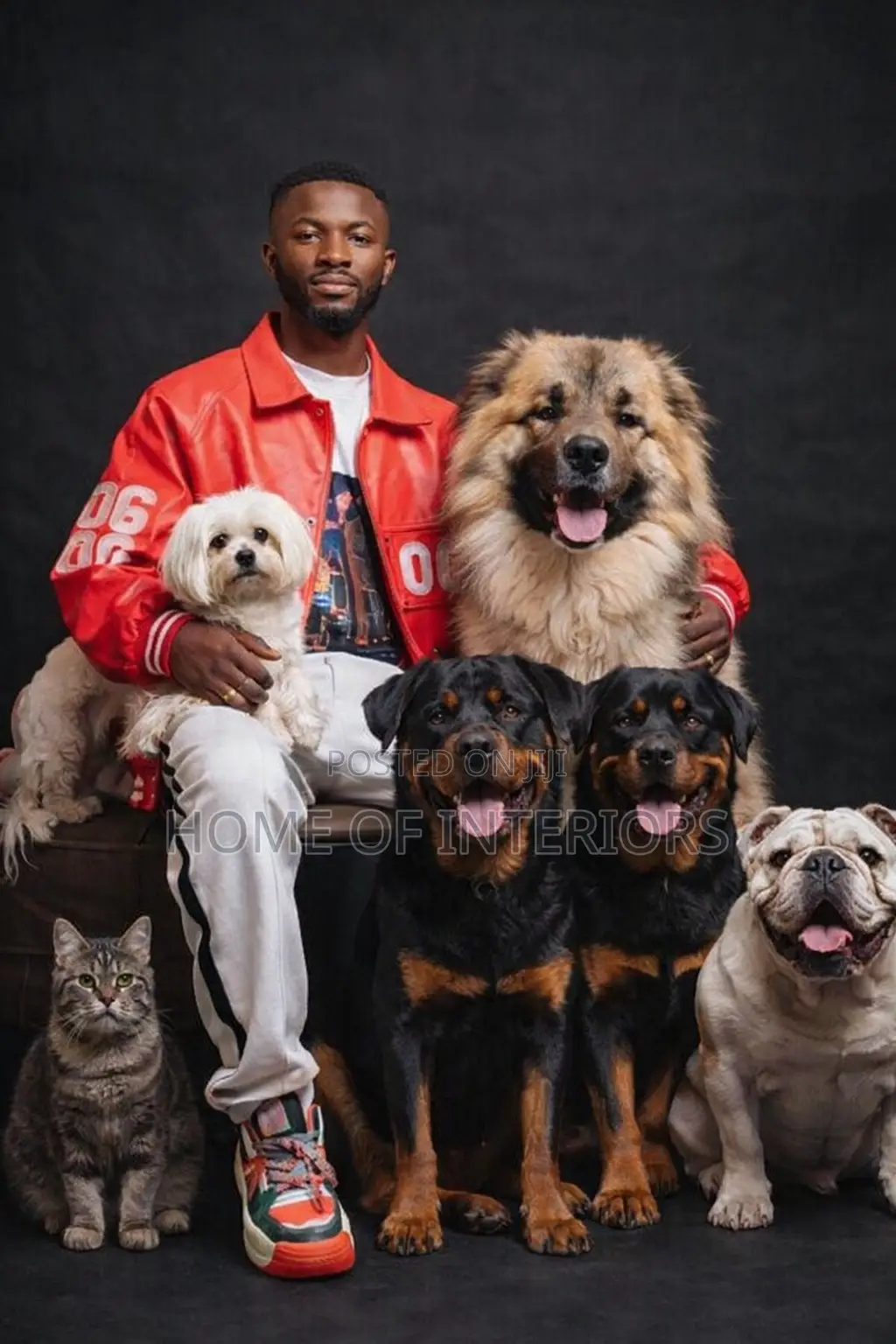 Pet Sitter/Caregiver