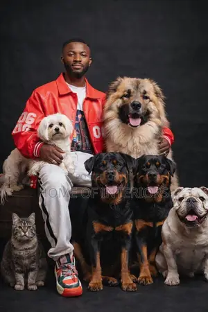 Pet Sitter/Caregiver