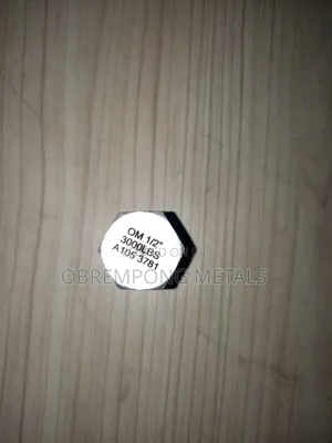 1/2" Steel Plug 3000lbs