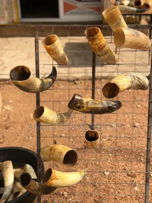 Original Cow And Sheep Horn