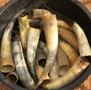 Original Cow And Sheep Horn