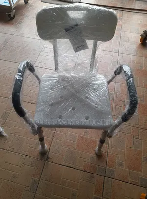 Bathing Seat Backrest and Handle