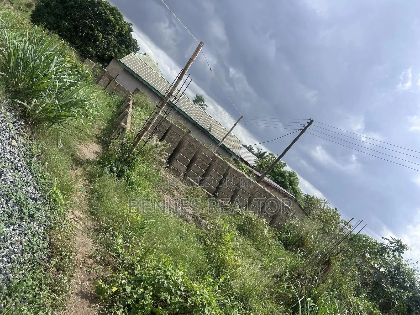 Quarter Plot At Amuzu
