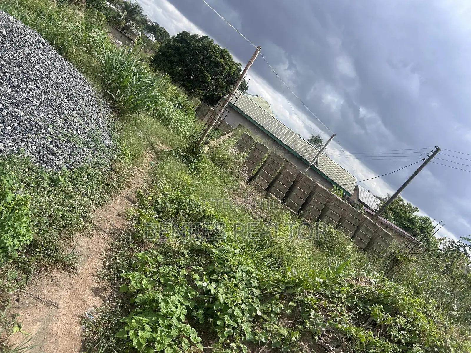 Quarter Plot At Amuzu
