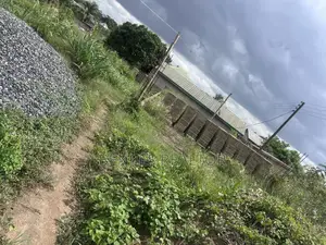 Quarter Plot At Amuzu