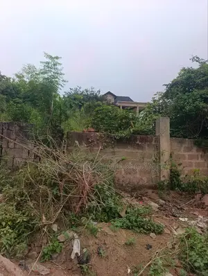 Genuine Land for Sale at Pokuase West Home Restaurant
