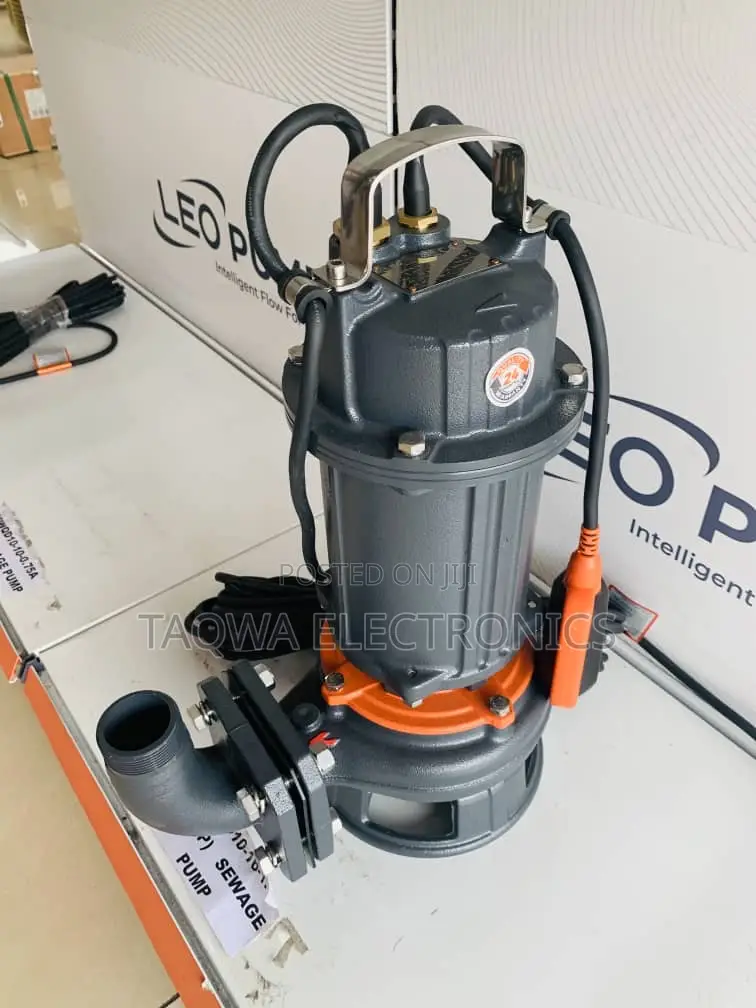 10m3/H Leo Sewage 1.5hp Pump