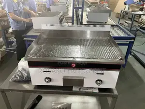 Gas Griddle Fully Stainless Steel Half Smooth Half Rough