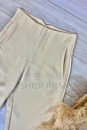 Ladies Office Wear Pants