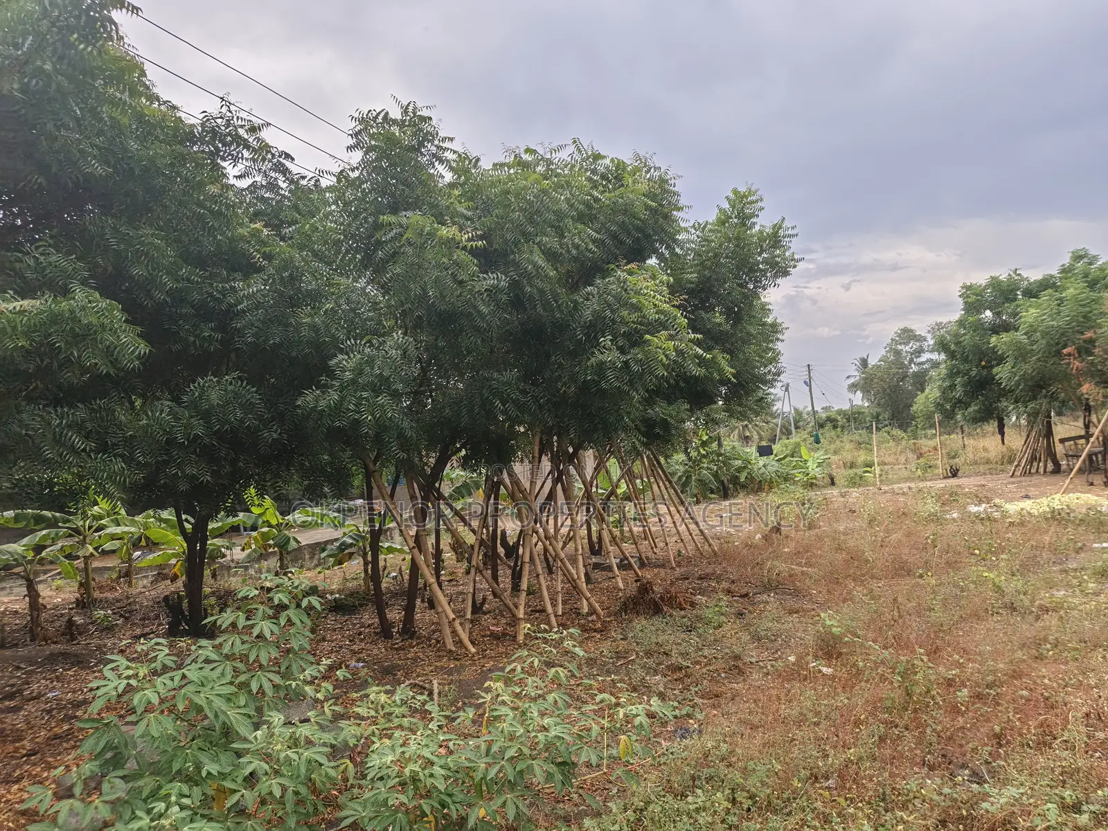 2acres of Land Walled for Sale at Tema
