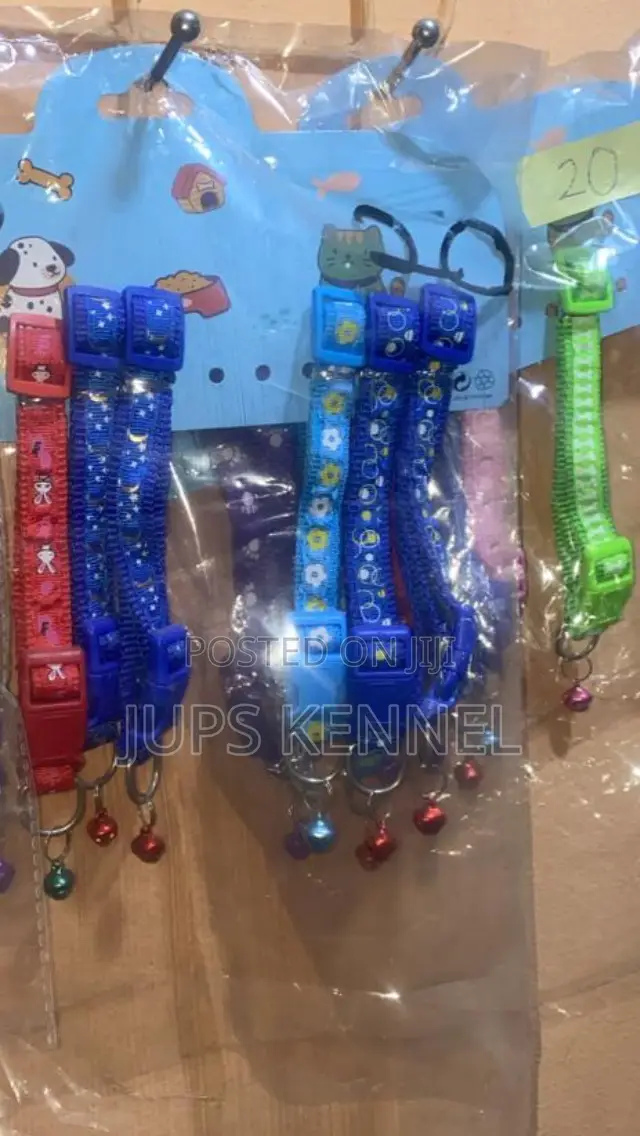 Dog (Puppy) Collar