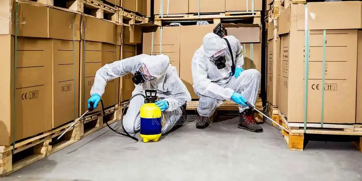Wonderful Cleaning and Fumigation Services