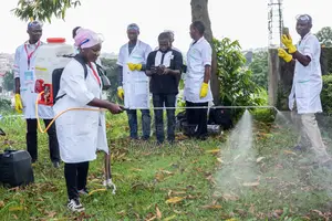 Wonderful Cleaning and Fumigation Services