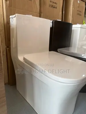 8618 One Piece Toilet