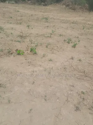 2 Plots of Land Forsale at Adietem-Mpatado